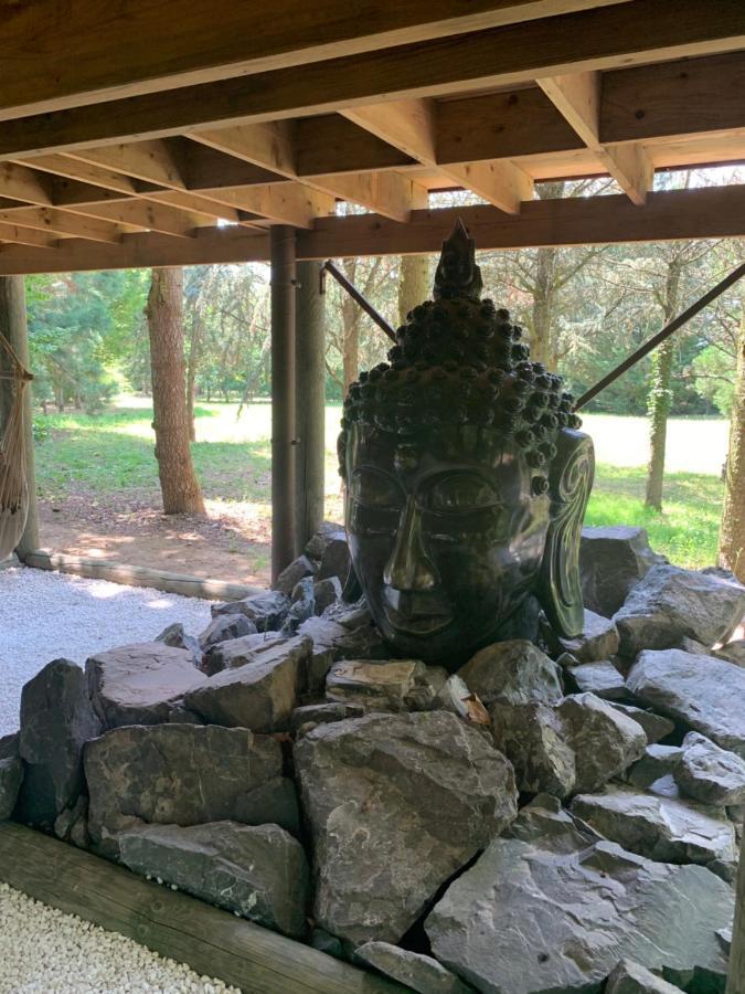 Gite Pont-A-Mousson, La Pepiniere Pagode Asiatique Exteriör bild